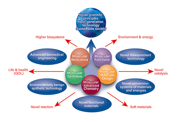Organization chart, division