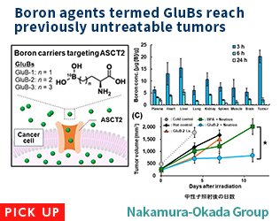 Boron agents termed GluBs reach previously untreatable tumors