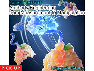 Antibody Engineering from Measurement to Manipulation