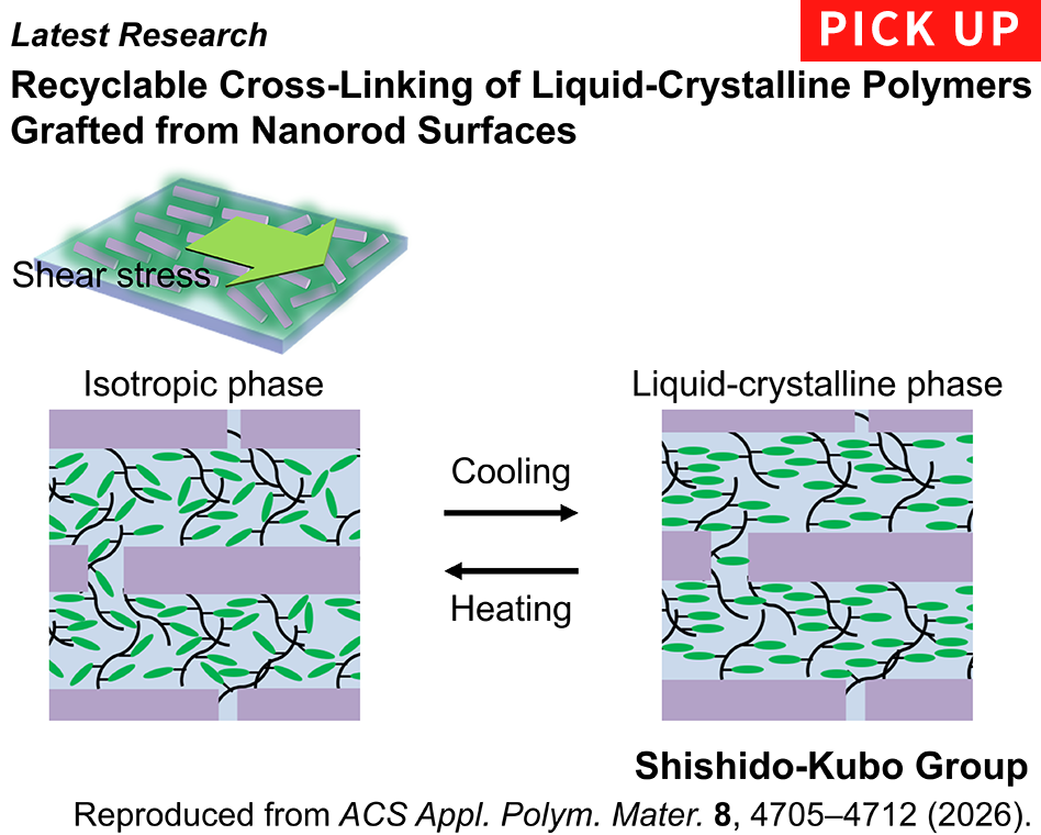 Recyclable Cross-Linking of Liquid-Crystalline Polymers Grafted from Nanorod Surfaces