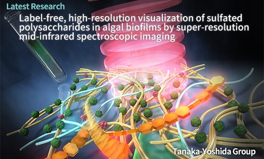 202512Latest Research