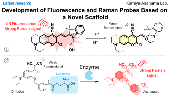 202510Latest Research