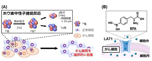 Fig.1