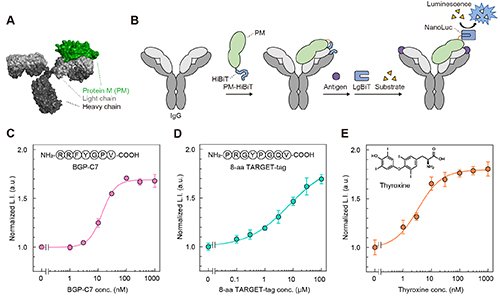 Fig.4