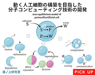 動く人工細胞の構築を目指した分子コンピューティング技術の開発