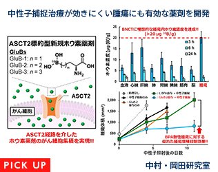 中性子捕捉治療が効きにくい腫瘍にも有効な薬剤を開発