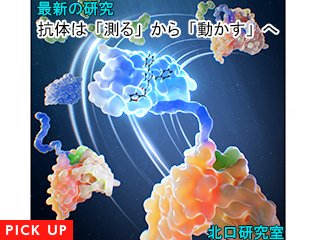 抗体は「測る」から「動かす」へ