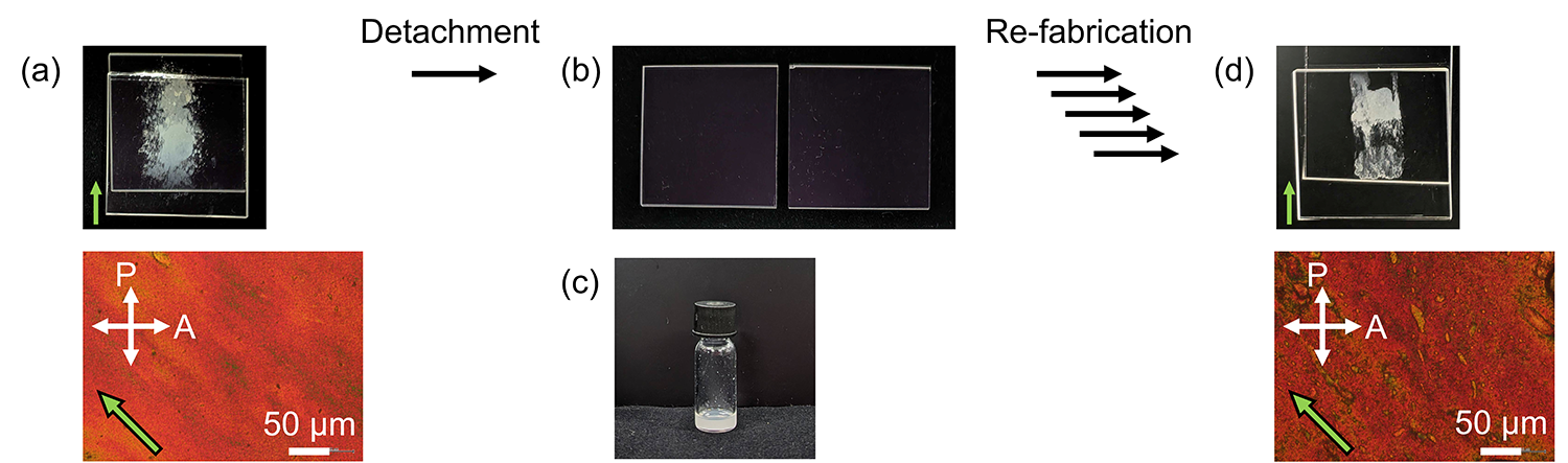 Fig.3