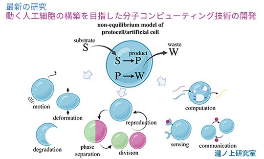 202602最新の研究