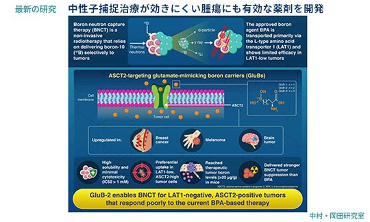 202606最新の研究