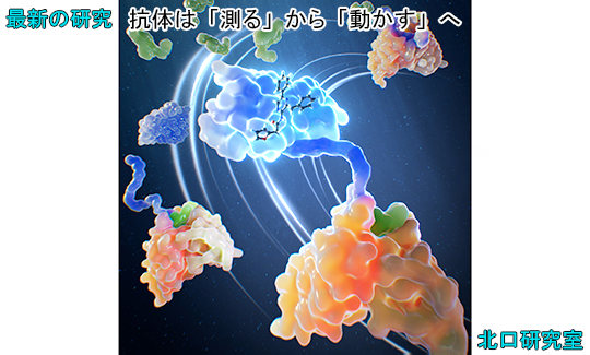 202607最新の研究