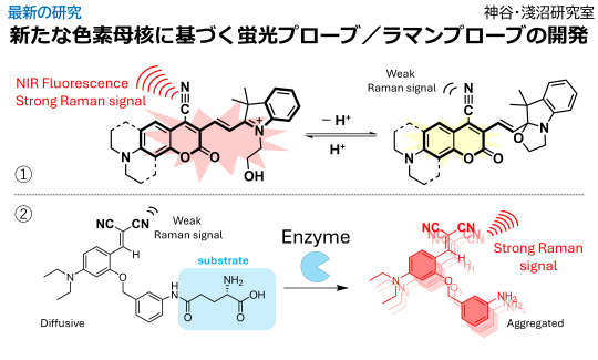 202510最新の研究